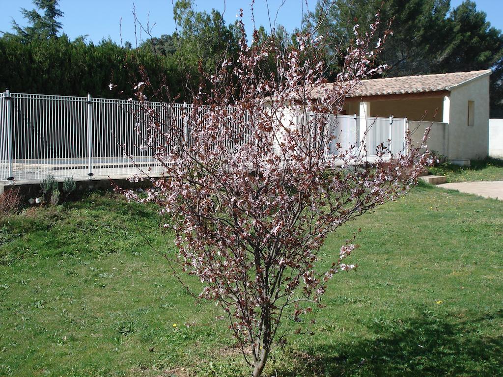 B&B L'Oustalet De Sylvie Villeneuve-lès-Avignon Exterior photo
